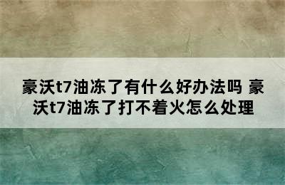 豪沃t7油冻了有什么好办法吗 豪沃t7油冻了打不着火怎么处理